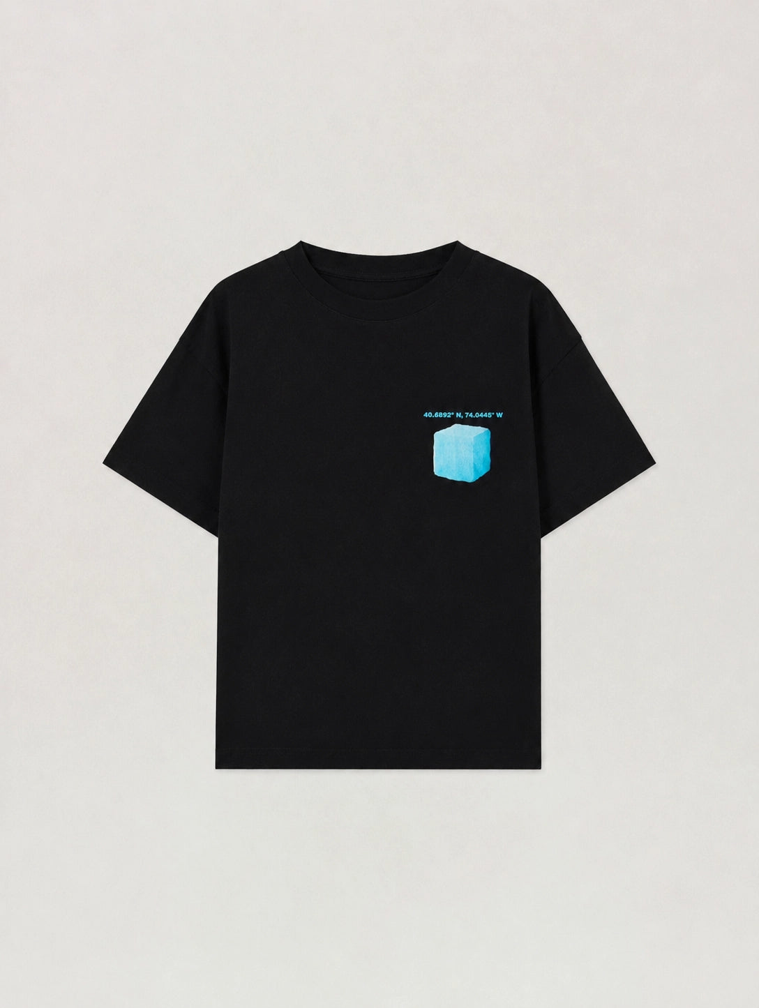 Lunatic Birds x MDG Ice T-Shirt