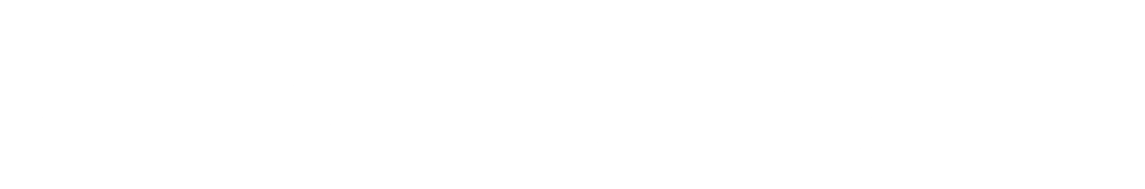 Lunatic Birds